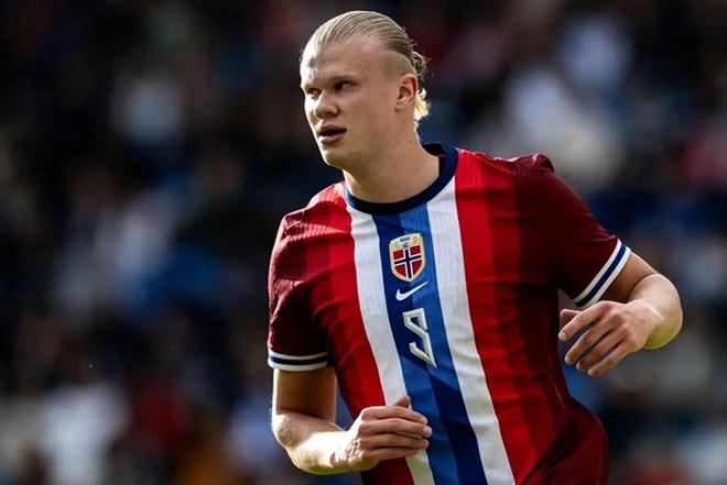 关键结论 关键结论